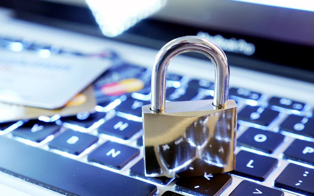 Emerging Forms of Payment Fraud and How to Handle Them