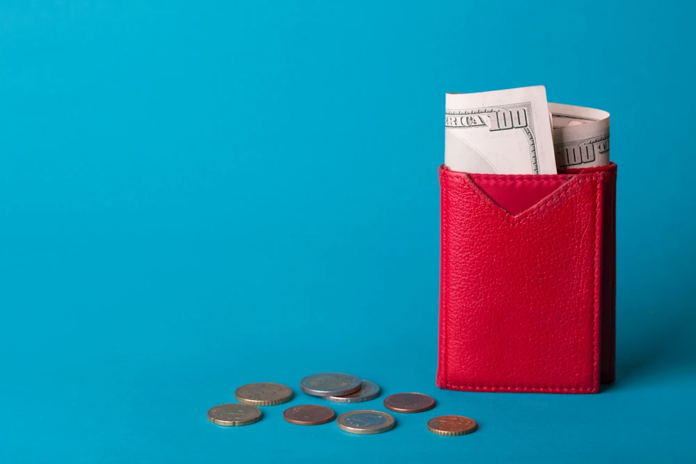 Payment Industry Evolution: from Coins to Digital Wallets