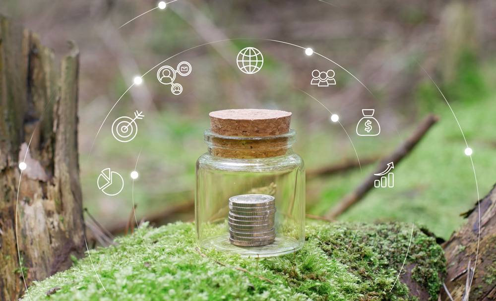 Sustainable Payment Solutions: 2025 Trends and Innovations in Eco-Friendly Finance